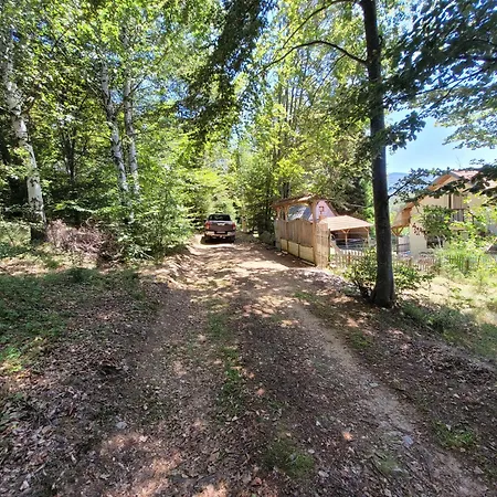 Kalina Vlasina Okruglica