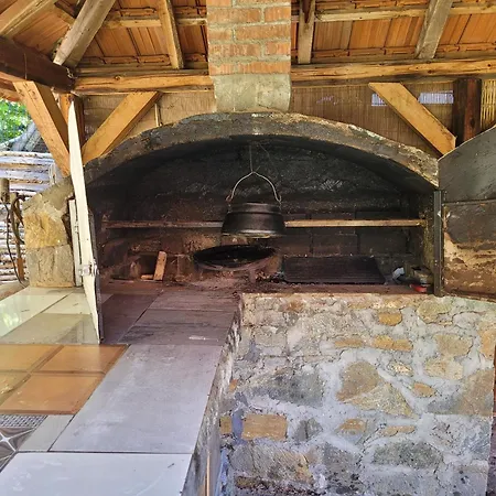 Kalina Vlasina Okruglica