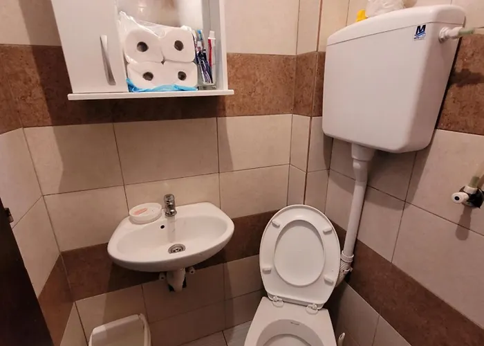 Kalina Vlasina Okruglica